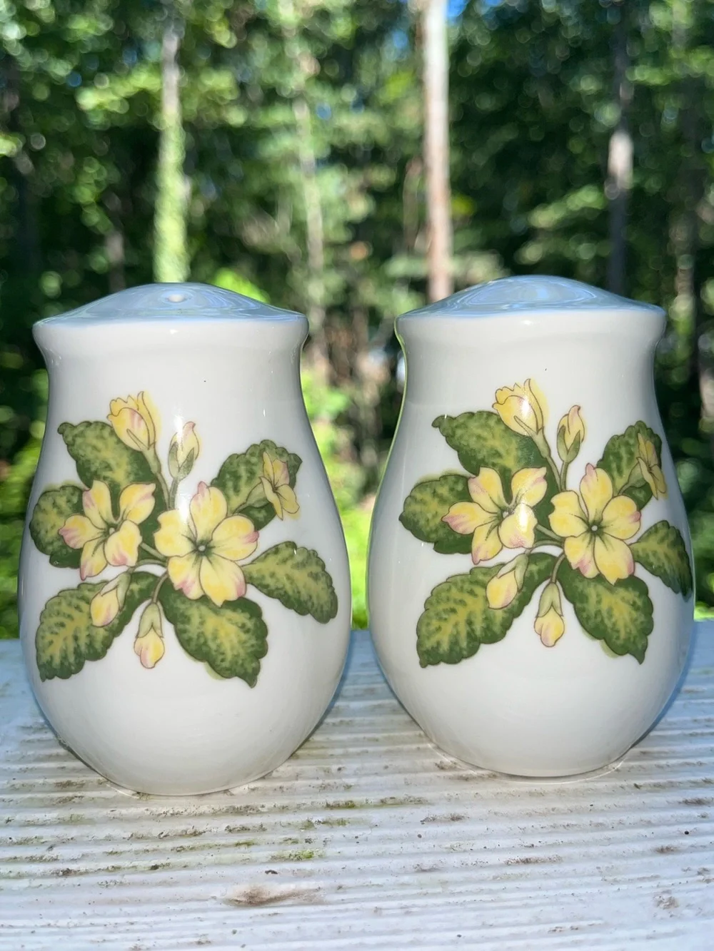 Vintage Noritake Fine China Gourmet Garden Salt & Pepper Shaker Set